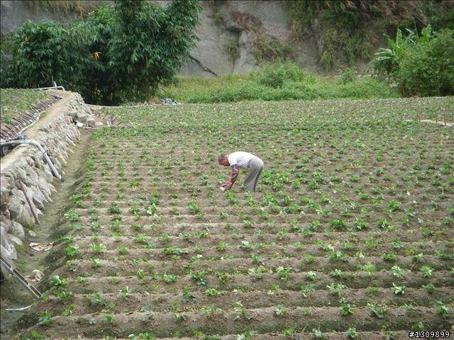小折向前衝,2009苗栗縣騎單車挑戰部落高峰雪見之役