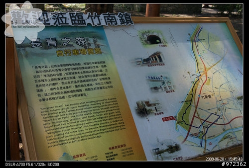 苗栗竹南--適合單車、不適合散步的「長青之森」