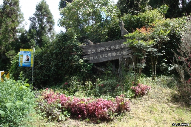 滷肉腳之武嶺朝拜半套行