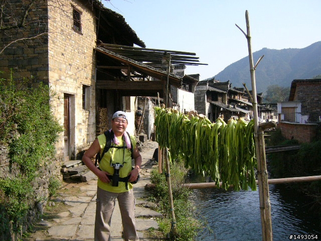 騎行在油菜花田的季節~~ 中國江西婺源的騎行
