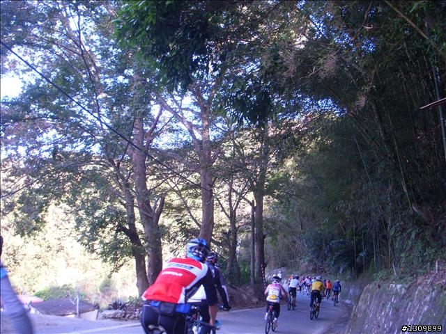 小折向前衝,2009苗栗縣騎單車挑戰部落高峰雪見之役