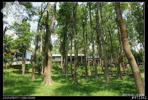 苗栗通霄--上田咖啡莊園 (火鍋篇)