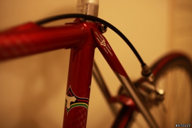 分享~ TOMMASINI Super Prestige 鋼管車 + 10速 CHORUS 鋁 系統