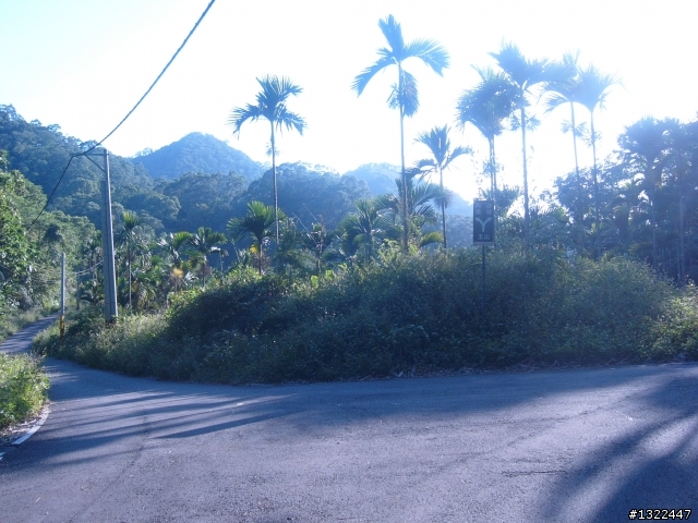 發現有一條路線蠻吸引我