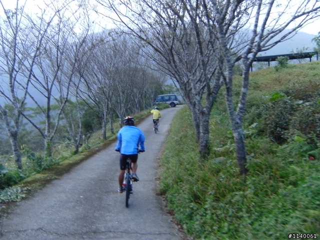 來企~台東太麻里金針山~賞雲花海~山海戀騎...^^"...