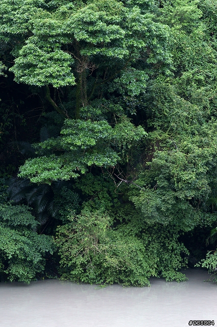 春秋烏來 - 景觀湯屋&思鸝套餐
