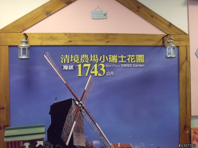 武嶺1日遊