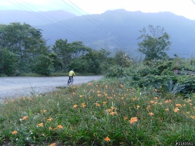 來企~台東太麻里金針山~賞雲花海~山海戀騎...^^"...