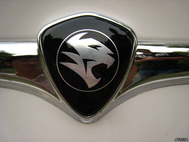 霹靂貓~~Proton Lotus Persona不專業開箱