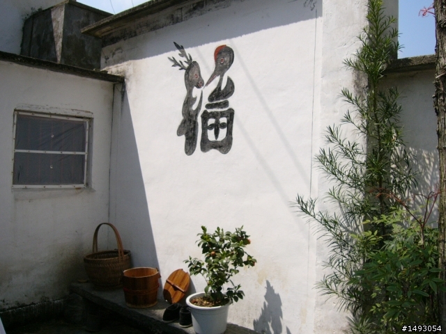 騎行在油菜花田的季節~~ 中國江西婺源的騎行