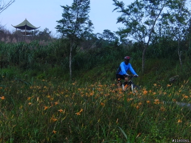 來企~台東太麻里金針山~賞雲花海~山海戀騎...^^"...
