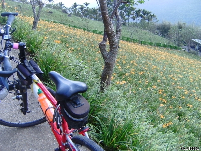 來企~台東太麻里金針山~賞雲花海~山海戀騎...^^"...