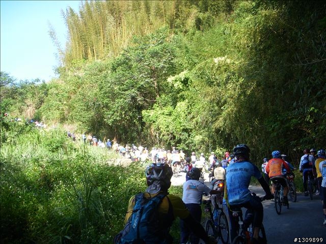 小折向前衝,2009苗栗縣騎單車挑戰部落高峰雪見之役