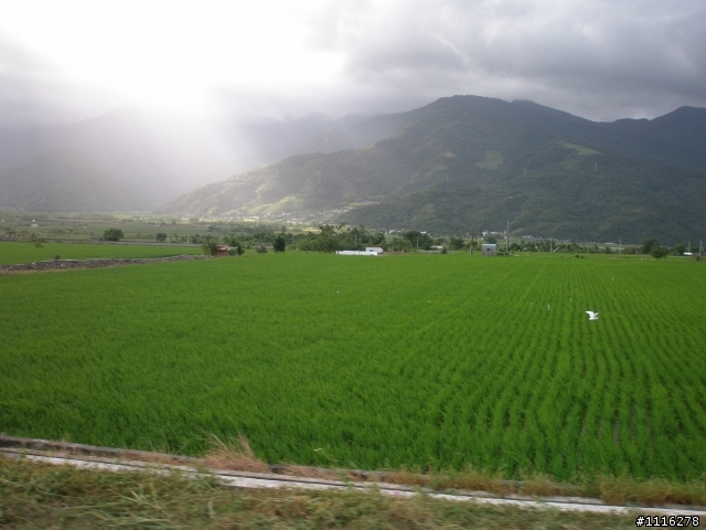 環島不一定要花很多＿陽春版之養樂多車七天環島