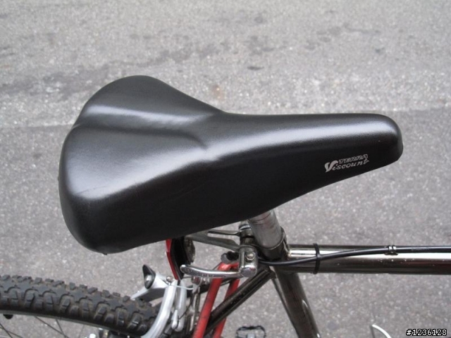 20年 SCHWINN 老鋼管登山車整理