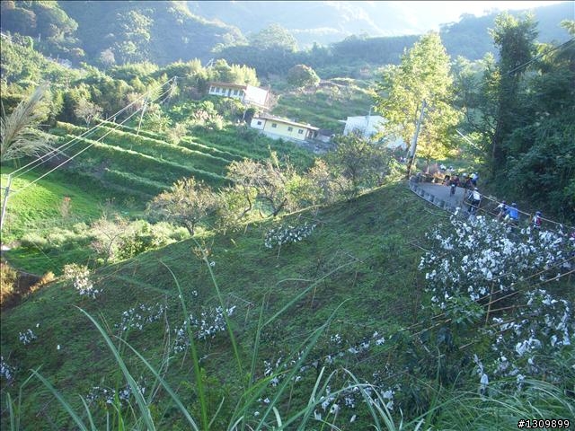 小折向前衝,2009苗栗縣騎單車挑戰部落高峰雪見之役