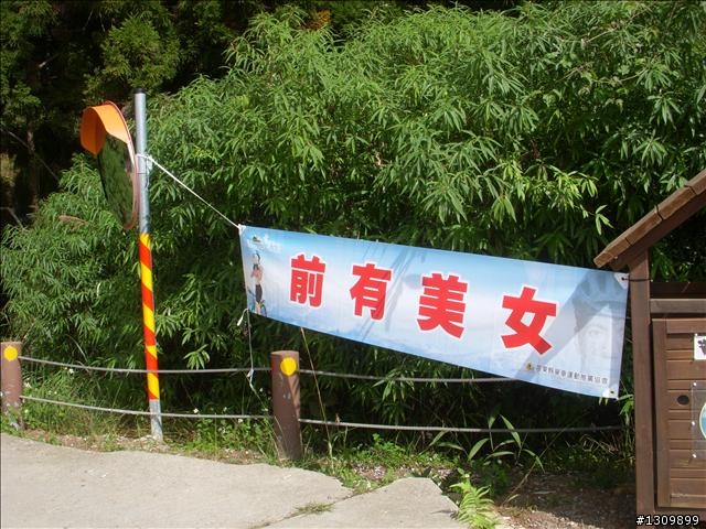 小折向前衝,2009苗栗縣騎單車挑戰部落高峰雪見之役