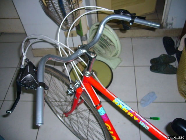 捷安特老鋼管修復小改裝.給老爸老媽的車.