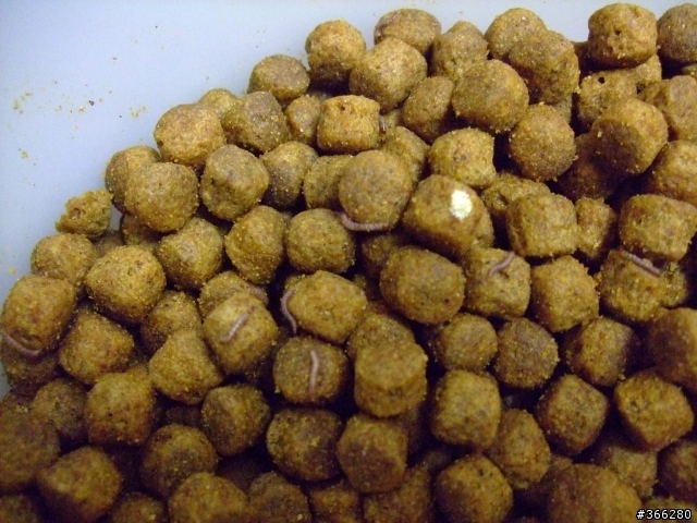 可怕的希爾斯長蟲飼料