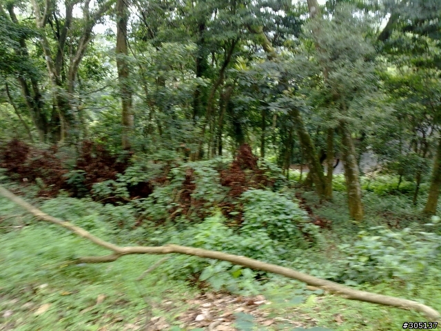 {遊記}10/23能高前哨站~土匪山林道地獄試煉