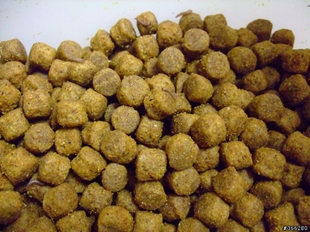 可怕的希爾斯長蟲飼料