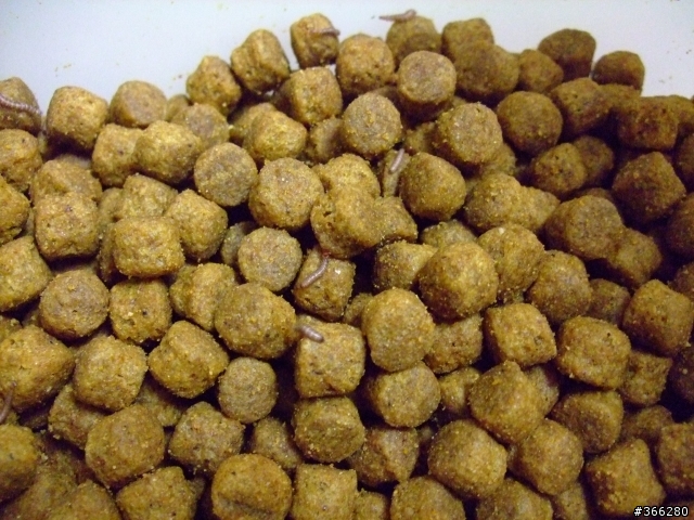 可怕的希爾斯長蟲飼料