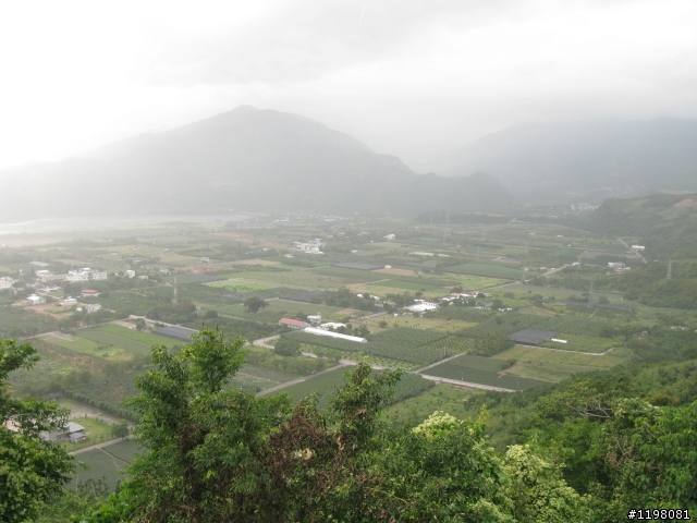 【探索‧冒險‧追求自由】花東地區、阿里山、高樹神獅、杉林溪