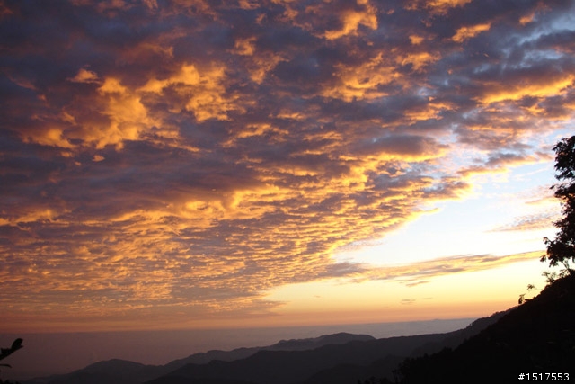 小白鵝之單人太平山2日1夜遊
