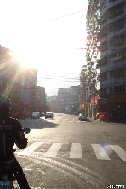 小白鵝之單人太平山2日1夜遊