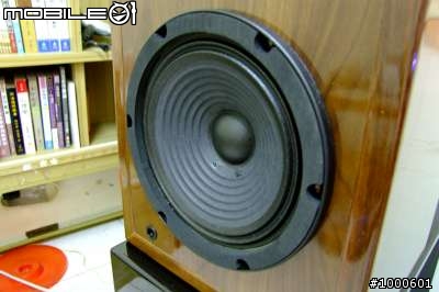 李氏 主喇叭NS-5+被動式重低音SW-12 老開箱文