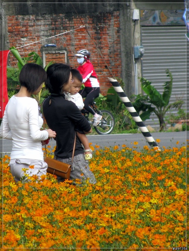 <攻略、比賽照片>2009年桃園縣主委盃單車賽--攝影筆記(第6頁)