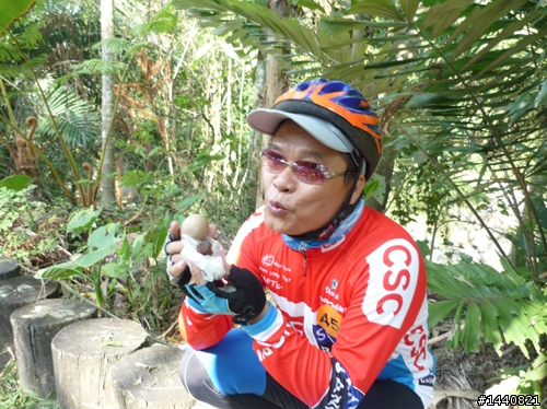 2009年南投-花明柳媚-中寮鐵馬行 -活動相片