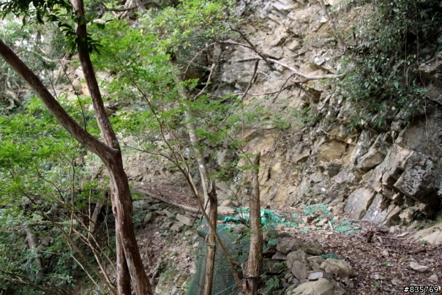 生死騎一回之浸水營古道