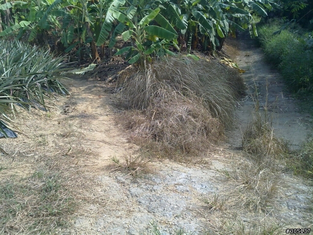 OFF-ROAD~上卡連四摔~