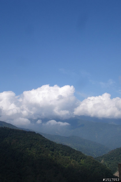 小白鵝之單人太平山2日1夜遊