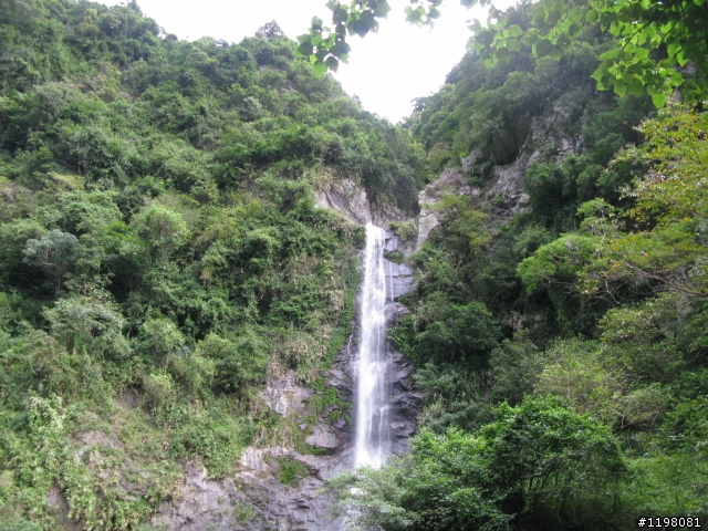 【探索‧冒險‧追求自由】花東地區、阿里山、高樹神獅、杉林溪