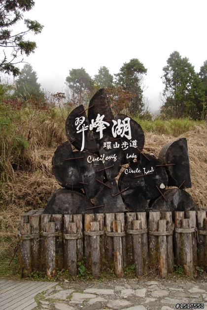 小白鵝之單人太平山2日1夜遊
