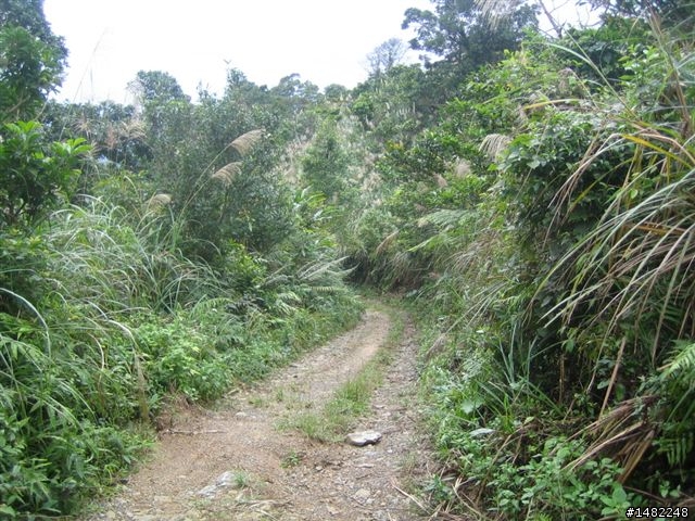 宜蘭礁溪青春嶺OFFROAD