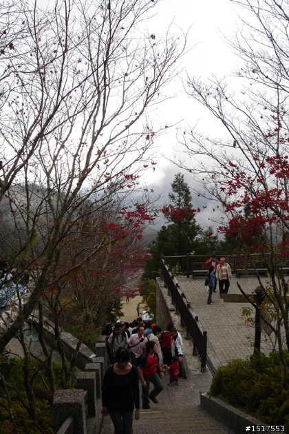 小白鵝之單人太平山2日1夜遊