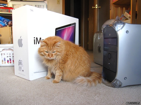 iMac 21.5的頭香搶不到了,來點兒另類的“肥貓”開箱文