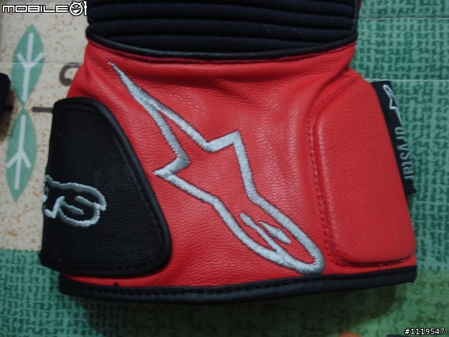 遲來的開箱-Alpinestars Vega Drystar Gloves 冬季手套