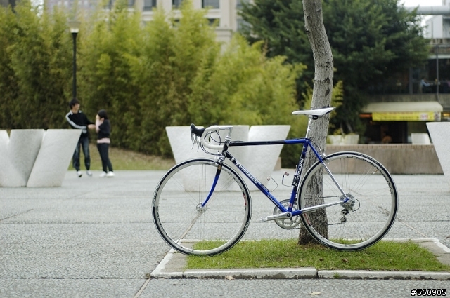 分享意外入手的Tommasini Tecno鋼管車