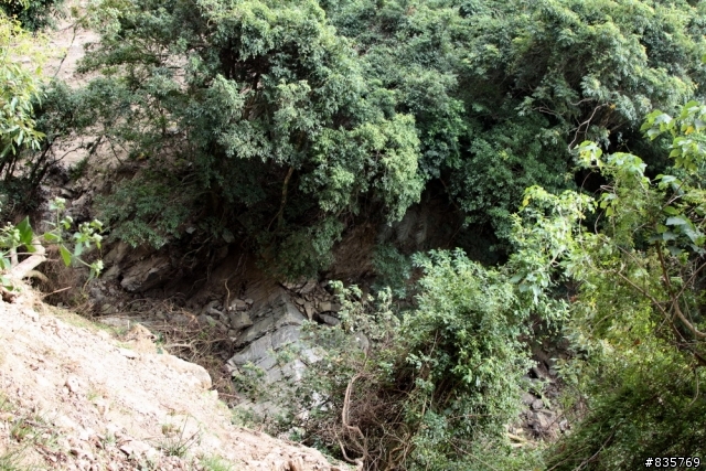 生死騎一回之浸水營古道