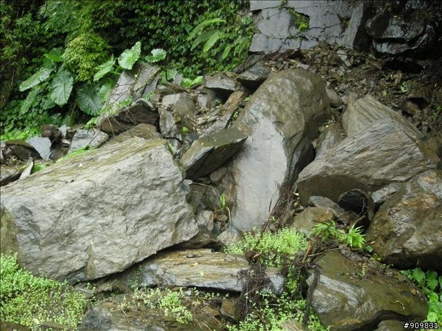 高手125R >< 烏來桶後"歐福羅德"~