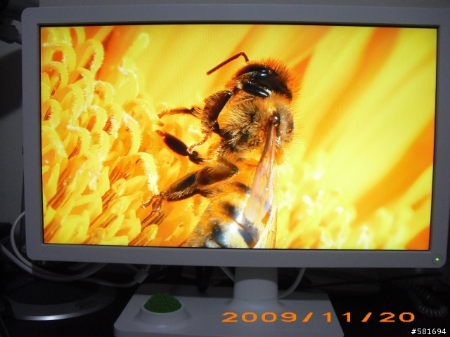 視覺真色彩-BenQ V2400 ECO開箱&試用