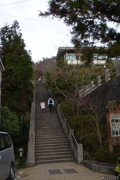 小白鵝之單人太平山2日1夜遊