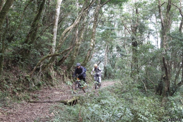 生死騎一回之浸水營古道