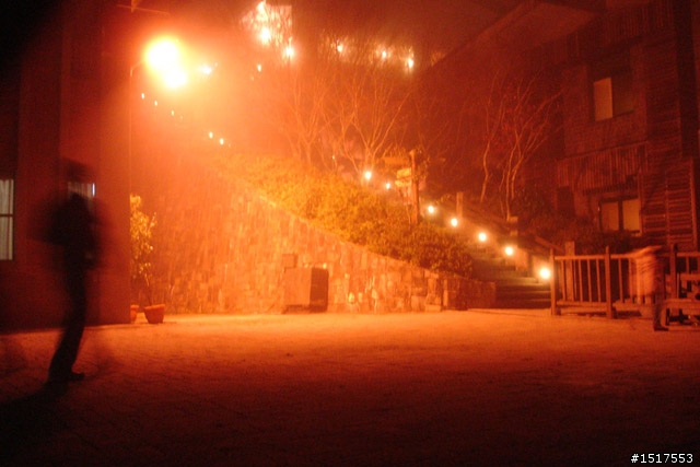小白鵝之單人太平山2日1夜遊