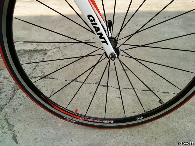 人生第一台碳纖車2010 Gaint TCR Advanced 3