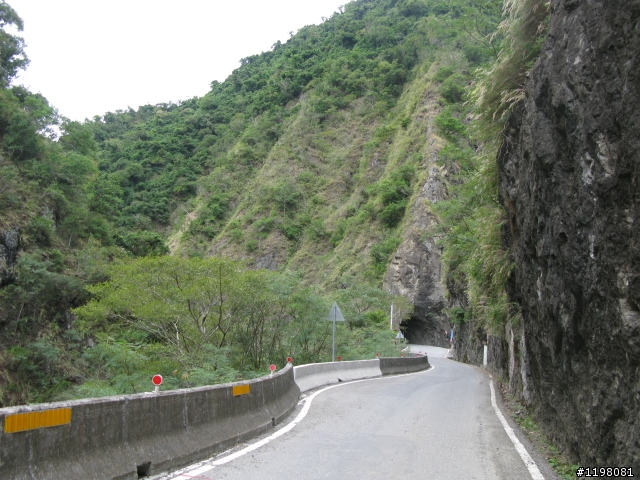 【探索‧冒險‧追求自由】花東地區、阿里山、高樹神獅、杉林溪